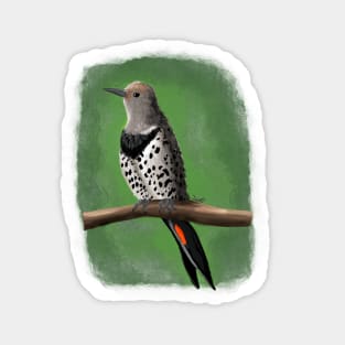 Northern Flicker Sticker